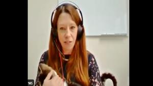 Leo the cat intruded a Zoom meeting with the UK House of Lords committee.(Twitter/@MattKorris) Leo the cat intruded a Zoom meeting with the UK House of Lords committee.(Twitter/@MattKorris)