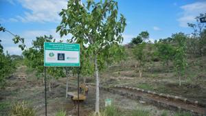 Legal researchers said there should be clarity on the policy and which areas will be earmarked for the development of urban forests.(Milind Saurkar/HT Photo) Legal researchers said there should be clarity on the policy and which areas will be earmarked for the development of urban forests.(Milind Saurkar/HT Photo)