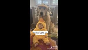 Baby Hank and doggo Kevin wearing matching ducky outfits.(TikTok/@agoldennamedkevin) Baby Hank and doggo Kevin wearing matching ducky outfits.(TikTok/@agoldennamedkevin)