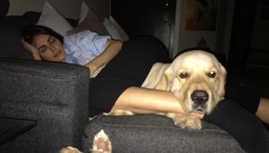Actor Mandana Karimi with her pet dogs Actor Mandana Karimi with her pet dogs