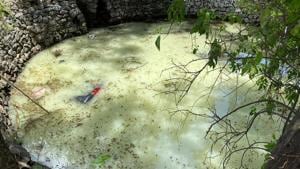 The car fell in this well in Pune’s Falevasti area.(HT Photo) The car fell in this well in Pune’s Falevasti area.(HT Photo)