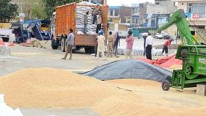 Workers cleaning wheat during the procurement under the shed at grain market gill road area in Ludhiana on April 22, 2020.(Gurpreet Singh/HT Photo) Workers cleaning wheat during the procurement under the shed at grain market gill road area in Ludhiana on April 22, 2020.(Gurpreet Singh/HT Photo)