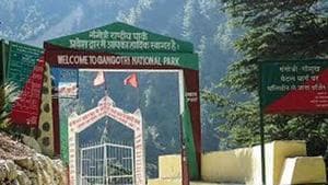The Gangotri National Park has seen deaths of three snow leopards in the past 5 years.(HT Photo) The Gangotri National Park has seen deaths of three snow leopards in the past 5 years.(HT Photo)