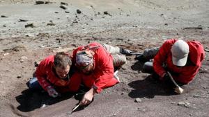 Researchers perform field work in Torres Del Paine National Park, Patagonia, Chile, in this picture taken February 2020 and provided on June 11, 2020.(Credit: Felipe Trueba/ EPA/ via REUTERS) Researchers perform field work in Torres Del Paine National Park, Patagonia, Chile, in this picture taken February 2020 and provided on June 11, 2020.(Credit: Felipe Trueba/ EPA/ via REUTERS)
