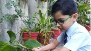 Students are keeping themselves busy in diverse activities such as gardening, cooking, photography and yoga Students are keeping themselves busy in diverse activities such as gardening, cooking, photography and yoga
