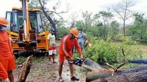 Residents of nearby Supe village have been assisting the forest staff in mending damages to affected structures.(ANI file photo. Representative image) Residents of nearby Supe village have been assisting the forest staff in mending damages to affected structures.(ANI file photo. Representative image)