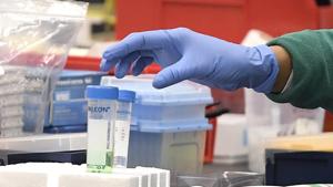 File photo: A researcher at Protein Sciences reaches for a vial in a lab in Meriden, Conn. The biotech company is currently researching a vaccine for Covid-19.(AP) File photo: A researcher at Protein Sciences reaches for a vial in a lab in Meriden, Conn. The biotech company is currently researching a vaccine for Covid-19.(AP)