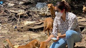Actor Sonnalli Seygall have been feeding strays in her locality.(Instagram/sonnalliseygall) Actor Sonnalli Seygall have been feeding strays in her locality.(Instagram/sonnalliseygall)