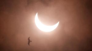 A partial solar eclipse is seen from Rajpath in New Delhi, India.(REUTERS) A partial solar eclipse is seen from Rajpath in New Delhi, India.(REUTERS)