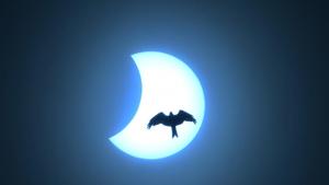 A silhouetted view of a flying eagle in the backdrop of the solar eclipse in the sky, in Chennai.(PTI) A silhouetted view of a flying eagle in the backdrop of the solar eclipse in the sky, in Chennai.(PTI)