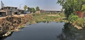 Locals worry that blockage in Buddha Nallah will lead to waterlogging in various parts of Ludhiana.(Gurpreet Singh/HT) Locals worry that blockage in Buddha Nallah will lead to waterlogging in various parts of Ludhiana.(Gurpreet Singh/HT)