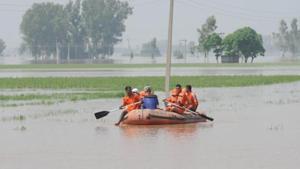 A total of 13 teams of 9th Corps NDRF are being deployed in Bihar(Pardeep Pandit / Hindustan Times) A total of 13 teams of 9th Corps NDRF are being deployed in Bihar(Pardeep Pandit / Hindustan Times)