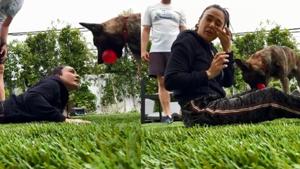 Preity Zinta has shared a video from her workout which was disrupted by her dog, Bruno. Preity Zinta has shared a video from her workout which was disrupted by her dog, Bruno.