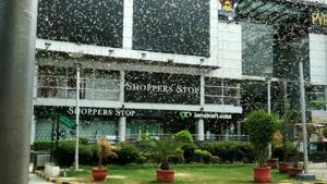 A swarm of locusts at DLF Phase 2 at MG Road in Gurugram on Saturday morning.(HT PHOTO) A swarm of locusts at DLF Phase 2 at MG Road in Gurugram on Saturday morning.(HT PHOTO)
