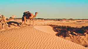 The pandemic has severely impacted the tourism sector, which contributes nearly 10% of gross domestic product and is a key source of foreign currency.(Unsplash) The pandemic has severely impacted the tourism sector, which contributes nearly 10% of gross domestic product and is a key source of foreign currency.(Unsplash)