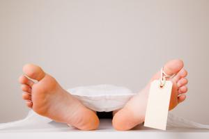 A Nepalese national who had moved a week ago into a makeshift house in an apple orchard in Shimla’s Kumarsain, has been found dead in a blaze.(Shutterstock/For representation) A Nepalese national who had moved a week ago into a makeshift house in an apple orchard in Shimla’s Kumarsain, has been found dead in a blaze.(Shutterstock/For representation)