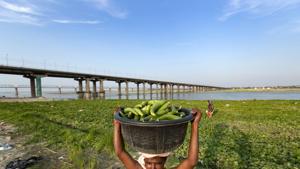 Shyamlal, one of the workers, says a stretch of the 40-km-long canal between Guhala Kalan and Divli villages was not cleaned for years.(AP/ Representative image) Shyamlal, one of the workers, says a stretch of the 40-km-long canal between Guhala Kalan and Divli villages was not cleaned for years.(AP/ Representative image)