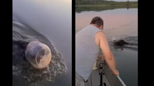 The bear was struggling as a big container was stuck on its head.(Facebook/@Tricia Hurt) The bear was struggling as a big container was stuck on its head.(Facebook/@Tricia Hurt)