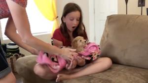 The image shows a girl sitting on a couch with a puppy.(Reddit/@drum5150) The image shows a girl sitting on a couch with a puppy.(Reddit/@drum5150)