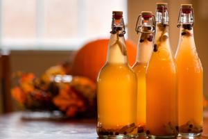 Indians have known the art of fermentation since ages. Indians have known the art of fermentation since ages.