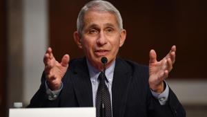 Anthony Fauci, director of the National Institute of Allergy and Infectious Diseases, speaks during a Senate Health, Education, Labor and Pensions Committee hearing in Washington, D.C, US, on Tuesday, June 30, 2020.(Bloomberg photo) Anthony Fauci, director of the National Institute of Allergy and Infectious Diseases, speaks during a Senate Health, Education, Labor and Pensions Committee hearing in Washington, D.C, US, on Tuesday, June 30, 2020.(Bloomberg photo)