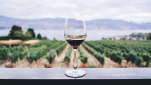 The wine industry is still reckoning with gender inequality.(Unsplash) The wine industry is still reckoning with gender inequality.(Unsplash)