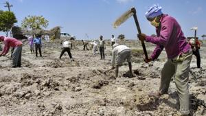 The Central government has approved a labour budget of 13.50 crore man-days for Chhattisgarh in the current financial year.(PTI PHOTO.) The Central government has approved a labour budget of 13.50 crore man-days for Chhattisgarh in the current financial year.(PTI PHOTO.)