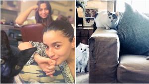 Alia Bhatt is a lover of cats. Alia Bhatt is a lover of cats.