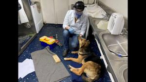A dog is checked by a veterinarian onboard the barge Chacabuco after it was rescued from the waters.(REUTERS) A dog is checked by a veterinarian onboard the barge Chacabuco after it was rescued from the waters.(REUTERS)