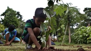 In 2018, around six lakh saplings were planted in the district, while the figures crossed 10 lakh-mark in 2019, according to official records.(HT Photo) In 2018, around six lakh saplings were planted in the district, while the figures crossed 10 lakh-mark in 2019, according to official records.(HT Photo)