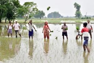 Farm workers sowing paddy in a field near Mudhal village in Amritsar, Punjab. Demand for water peaks during this season in the state.(HT Photo) Farm workers sowing paddy in a field near Mudhal village in Amritsar, Punjab. Demand for water peaks during this season in the state.(HT Photo)