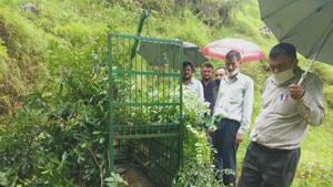 Forest officials inspecting the cage after installation in Almora district of Uttarakhand.(HT Photo) Forest officials inspecting the cage after installation in Almora district of Uttarakhand.(HT Photo)