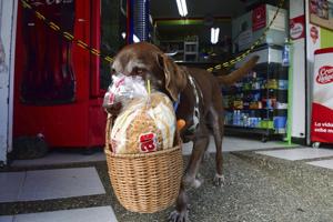 Eros carries a basket with bread as he leaves the El Porvenir mini-market to make a delivery on his own in Medellin, Colombia.(AP) Eros carries a basket with bread as he leaves the El Porvenir mini-market to make a delivery on his own in Medellin, Colombia.(AP)