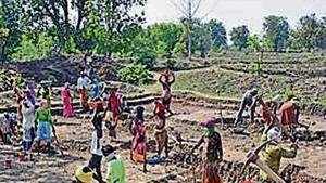 Workers at a construction site in Seoni, MP, on May 19. Workers at a construction site in Seoni, MP, on May 19.