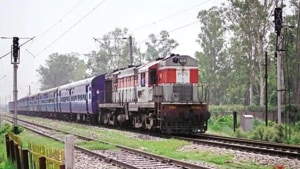 The railway project is one of three projects that will slice through the ecologically-fragile Dandeli-Anshi Tiger Reserve in Karnataka and the Bhagwan Mahavir Wildlife Sanctuary, Goa’s oldest protected area since 1967.(HT File / Representational Photot) The railway project is one of three projects that will slice through the ecologically-fragile Dandeli-Anshi Tiger Reserve in Karnataka and the Bhagwan Mahavir Wildlife Sanctuary, Goa’s oldest protected area since 1967.(HT File / Representational Photot)