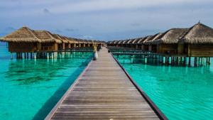 The picturesque chain of almost 1,200 islands in the Indian Ocean has a remote location that lends itself naturally to social distancing.(Unsplash) The picturesque chain of almost 1,200 islands in the Indian Ocean has a remote location that lends itself naturally to social distancing.(Unsplash)
