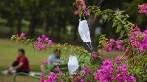 Face masks are seen hanging on the branches of a tree in the backdrop of people exercising at Nehru Park in New Delhi.(PTI File Photo) Face masks are seen hanging on the branches of a tree in the backdrop of people exercising at Nehru Park in New Delhi.(PTI File Photo)