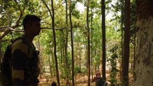 The seizures were made in the in the jungles of Rajnandgaon district.(Representative image/HT PHOTO) The seizures were made in the in the jungles of Rajnandgaon district.(Representative image/HT PHOTO)