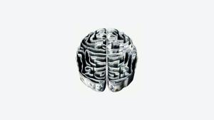 A leading cause of disability and death worldwide, TBI may occur due to an open-skull injury, like a gunshot wound, a fall, or an automobile accident. (Representational Image)(Unsplash) A leading cause of disability and death worldwide, TBI may occur due to an open-skull injury, like a gunshot wound, a fall, or an automobile accident. (Representational Image)(Unsplash)