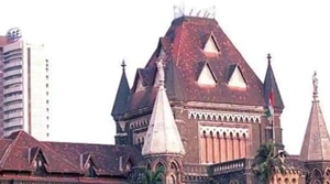 The bench also said that the HC in the past granted had permissions for other similar projects owing to larger public importance.(HT file photo) The bench also said that the HC in the past granted had permissions for other similar projects owing to larger public importance.(HT file photo)