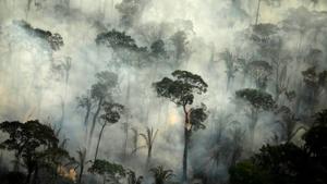Enviromentalists said that this move raised concerns of political interference as destruction soars in the Amazon rainforest.(Reuters file photo) Enviromentalists said that this move raised concerns of political interference as destruction soars in the Amazon rainforest.(Reuters file photo)