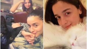 Alia Bhatt shared a new picture of herself with one of pets on Instagram. Alia Bhatt shared a new picture of herself with one of pets on Instagram.