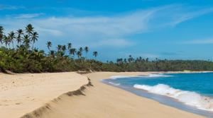 The island of 3.2 million is also seeing rising numbers of confirmed and probable cases, with the rolling seven-day total reaching a high of 1,634 on Wednesday. (Representational Image)(Unsplash) The island of 3.2 million is also seeing rising numbers of confirmed and probable cases, with the rolling seven-day total reaching a high of 1,634 on Wednesday. (Representational Image)(Unsplash)