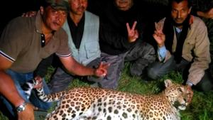 Hunters posing with the leopard they shot dead in Almora.(HT Photo) Hunters posing with the leopard they shot dead in Almora.(HT Photo)