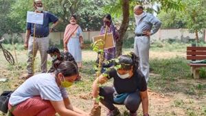The residents in Vasant Vihar have planted nearly 100 native trees, such as such as bel, arjun, dhak, doodhi, khejri, and bargad, among others, in a 1.8 acre park along the Munirka Marg last week.(HT Photo) The residents in Vasant Vihar have planted nearly 100 native trees, such as such as bel, arjun, dhak, doodhi, khejri, and bargad, among others, in a 1.8 acre park along the Munirka Marg last week.(HT Photo)