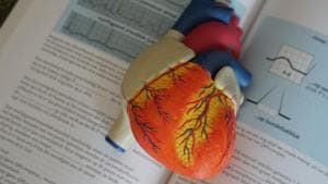 Women had a 4.6 per cent higher rate of heart failure than men when presenting to the hospital with the acute coronary syndrome. (Representational Image)(Unsplash) Women had a 4.6 per cent higher rate of heart failure than men when presenting to the hospital with the acute coronary syndrome. (Representational Image)(Unsplash)