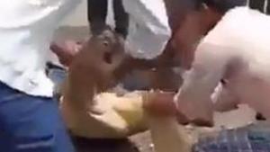 The case was registered after a video of an assault on Kashinath went viral. (Videograb) The case was registered after a video of an assault on Kashinath went viral. (Videograb)