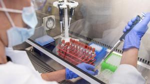 In this handout photo released by the University of Oxford samples from coronavirus vaccine trials are handled inside the Oxford Vaccine Group laboratory in Oxford.(AP) In this handout photo released by the University of Oxford samples from coronavirus vaccine trials are handled inside the Oxford Vaccine Group laboratory in Oxford.(AP)