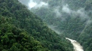 A five-member committee will probe allegations of illegal coal mining in Assam’s Dehing Patkai elephant reserve.(FILE PHOTO) A five-member committee will probe allegations of illegal coal mining in Assam’s Dehing Patkai elephant reserve.(FILE PHOTO)
