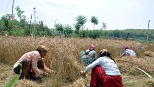 The Uttarakhand government is planning to introduce an amendment in the law related to land ownership rights favouring daughters and wives as well.(HT File Photo) The Uttarakhand government is planning to introduce an amendment in the law related to land ownership rights favouring daughters and wives as well.(HT File Photo)